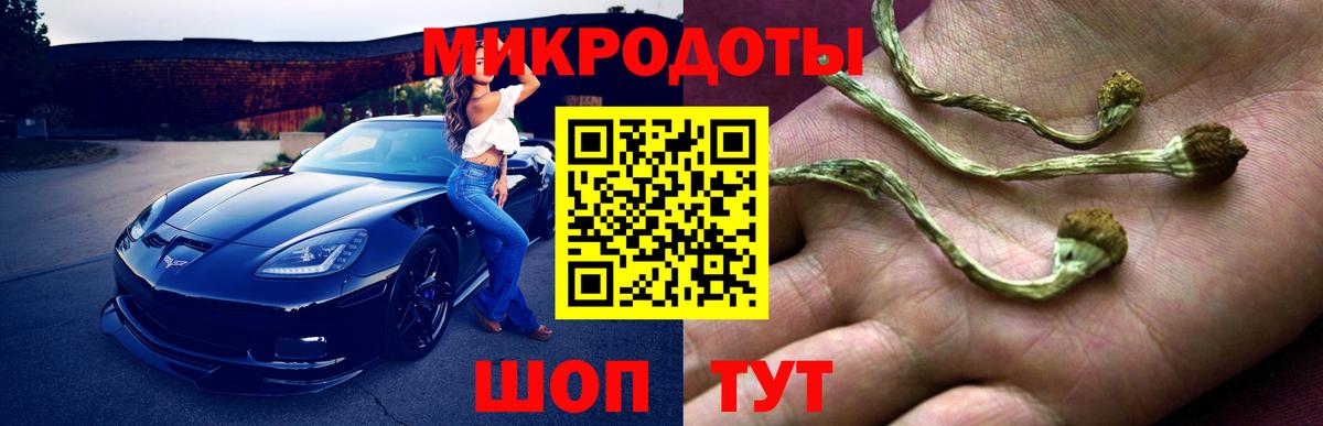 Галлюциногенные грибы GOLDEN TEACHER  Вход с VPN  Артёмовский  Галлюциногенные грибы MAGIC MUSHROOMS 